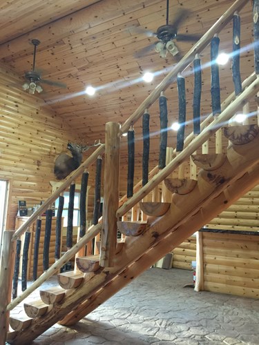 Hickory spindle rustic railing on half log staircase.