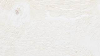 Ship Roughsawn White