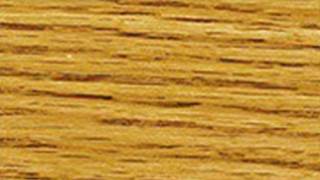 Puritan pine