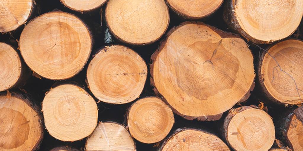 lumber lead times