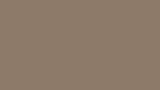 barnwood gray