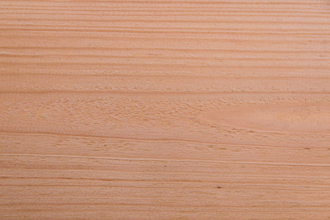 background doug-fir-stock