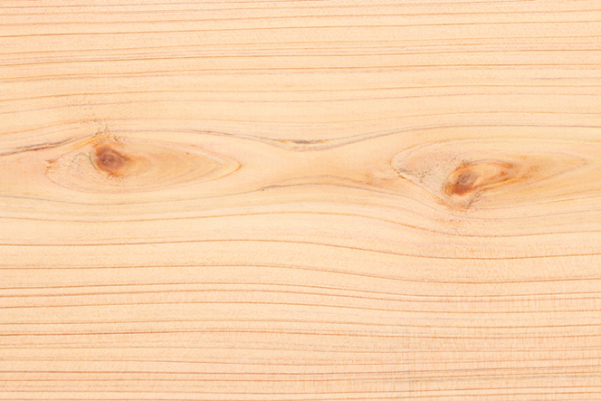abstract beige color wood board. natural plank texture background. vintage photography. retro styled concept. Northern White Cedar