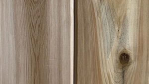 white cedar