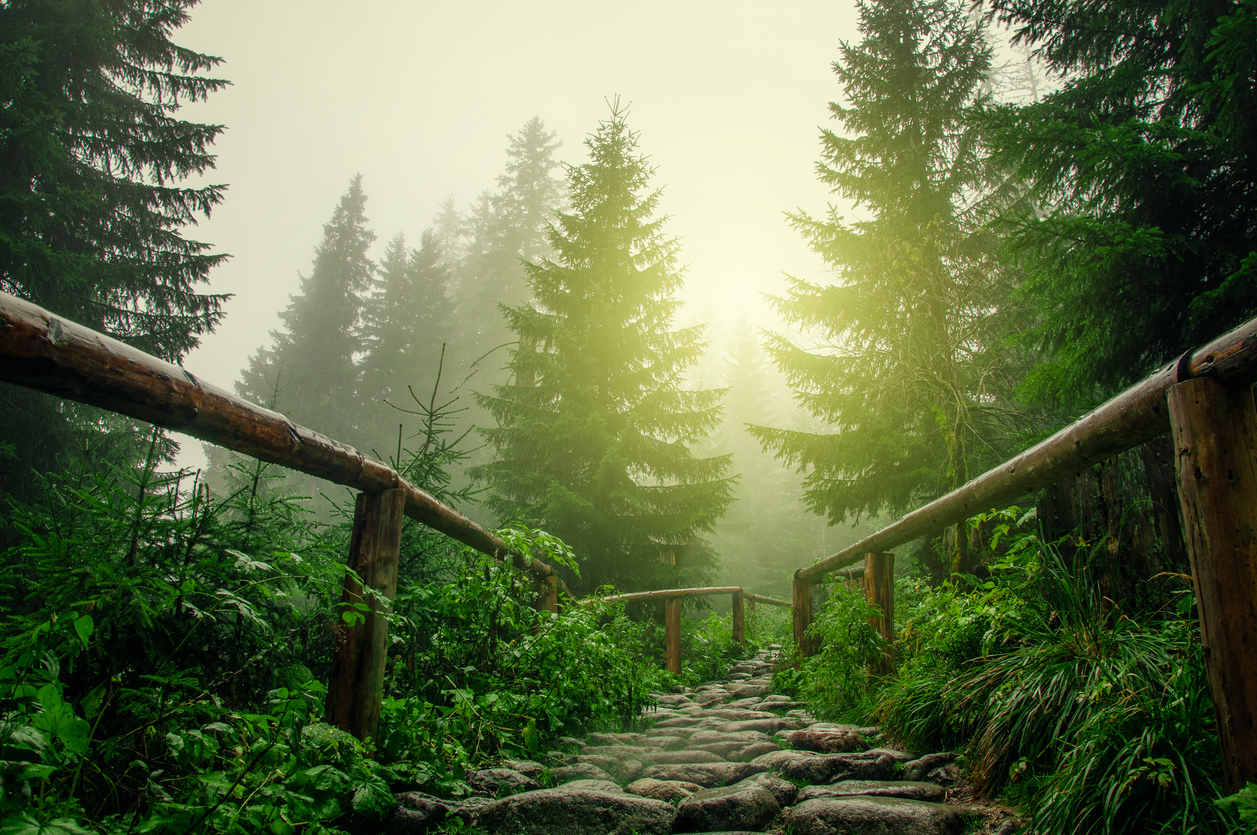 Log Supplier Blog